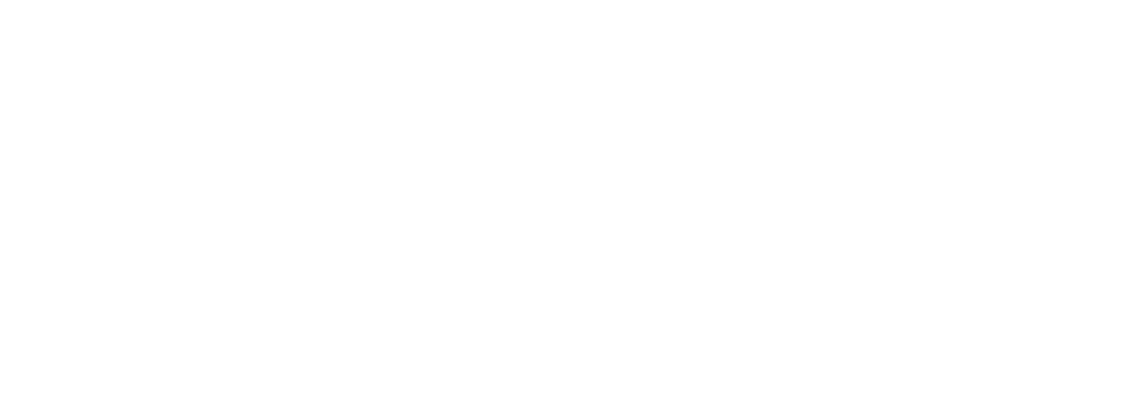 Welli Logo